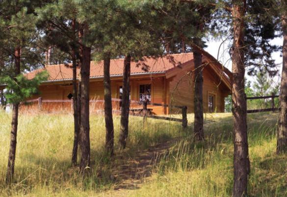 Ferienhaus-Park Brennickenswerder Lychen Bagian luar foto