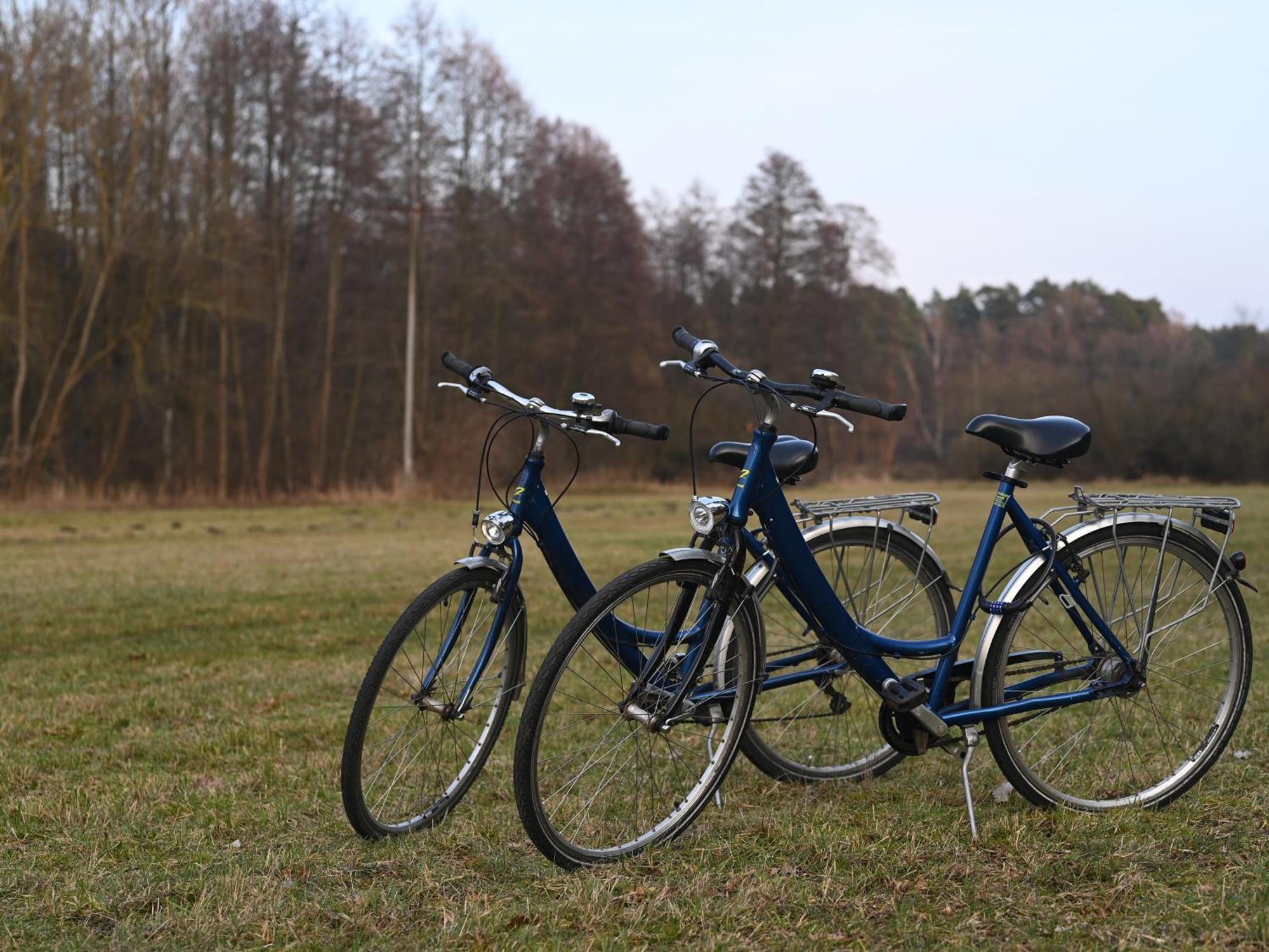 Ferienhaus-Park Brennickenswerder Lychen Bagian luar foto
