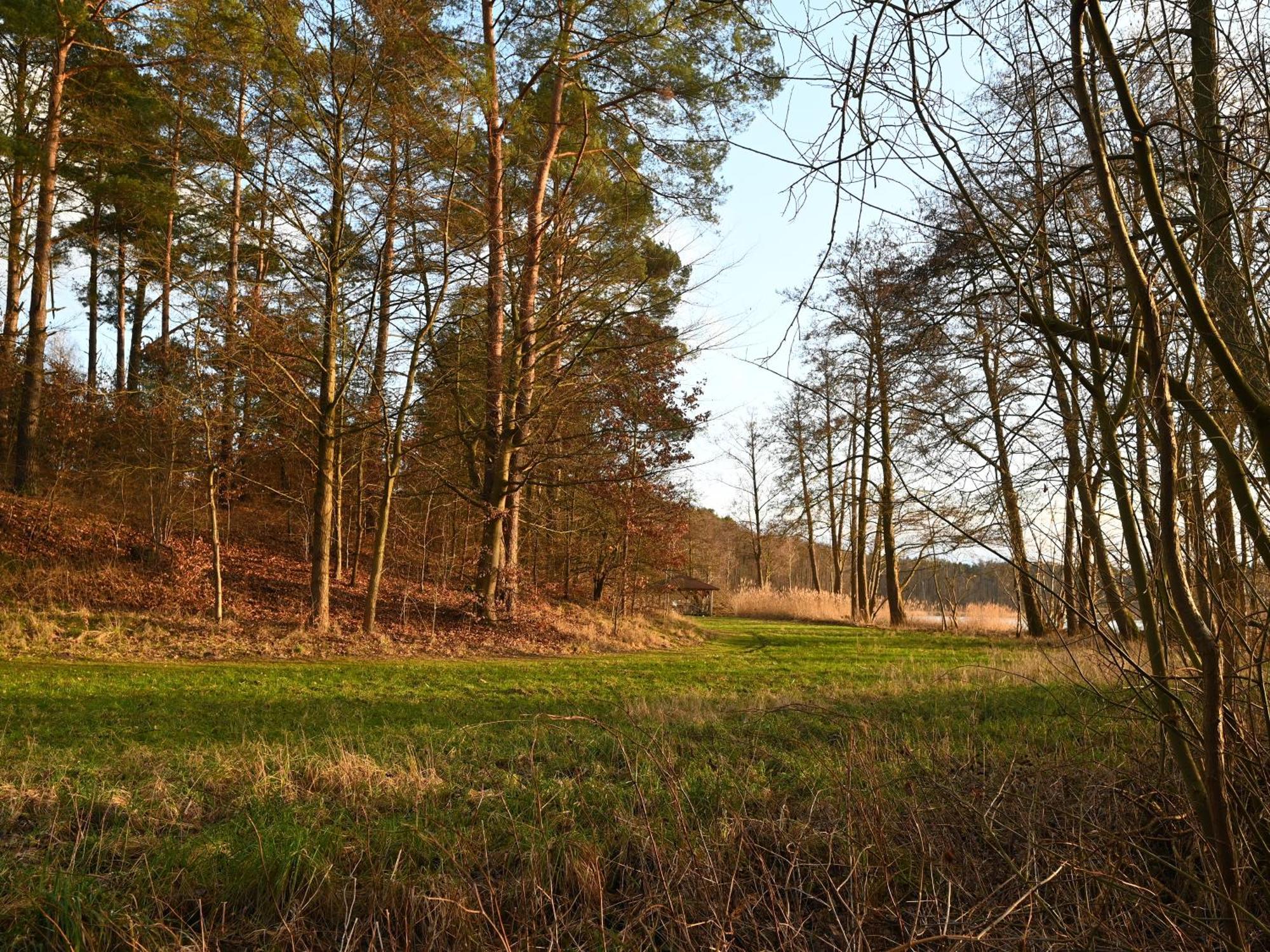 Ferienhaus-Park Brennickenswerder Lychen Bagian luar foto